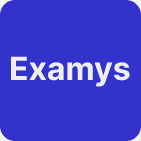 Examys Logo